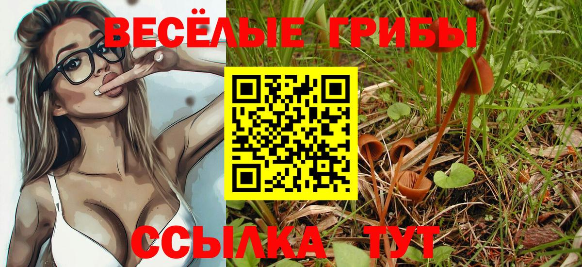 Галлюциногенные грибы Psilocybine cubensis Соликамск